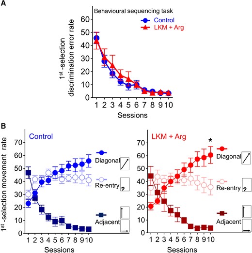 Learning performance of the behavioural sequencing task. (A) First selection discrimination error rate, defined as the number of choices of the two never-rewarded spots. The chance value is 50%. The error rate in both groups gradually decreased, indicating successful learning of the positions of never-rewarded spots. Each data point and error bar represent the mean and SEM of each group (LKM + Arg: n = 11, control: n = 12). (B) Rates of three movement patterns classified as follows: (i) diagonal movement; (ii) adjacent movement (to either of the two adjacent spots); and (iii) re-entry to the identical spot; accordingly, chance values were calculated as 25, 50 and 25%, respectively. *P < 0.05, significantly higher than re-entry and adjacent movement rate by two-way repeated measures ANOVA with Bonferroni correction. At Session 10, the diagonal movement rate was significantly higher than the re-entry and adjacent movement rate in the LKM + Arg-treated group (*P < 0.05). Each data point and error bar represent the mean and SEM of each group (LKM + Arg: n = 11, control: n = 12).