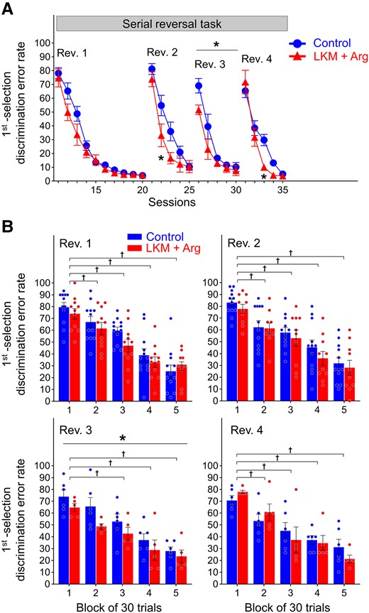 Learning performance of serial reversal task. (A) First selection discrimination error rate, defined as the number of choices of never-rewarded spots per session. *P < 0.05 represents significant differences between groups by two-way repeated measures ANOVA with Bonferroni correction. The first reversal phase, second reversal phase, third reversal phase and fourth reversal phase are presented as Rev. 1, Rev. 2, Rev. 3 and Rev. 4, respectively. Each data point and error bar represent the mean and SEM of each group (LKM + Arg: n = 11, control: n = 12 at Rev. 1; LKM + Arg: n = 10, control: n = 12 at Rev. 2; and LKM + Arg: n = 5, control: n = 6 at Rev. 3 and Rev. 4). (B) First selection discrimination error rates for every 30-trial block in the first 150 trials per reversal phase. *P < 0.05 represents significantly lower than control group over 150 trials by two-way repeated measures ANOVA. †P < 0.05 represents significantly lower than the first block by two-way repeated measures ANOVA with Bonferroni correction. The error rate decreased in both groups with each trial block (†P < 0.05). Especially at Rev. 3, the error rate was significantly lower in LKM + Arg-treated group than that in control group within the first 150 trials (*P < 0.05). Each bar and error bar represent the mean and SEM of each group, and each circle represents individual mouse data (LKM + Arg: n = 11, control: n = 12 at Rev. 1; LKM + Arg: n = 10, control: n = 12 at Rev. 2; and LKM + Arg: n = 5, control: n = 6 at Rev. 3 and Rev. 4).