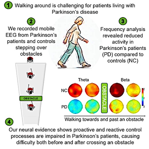 Graphical Abstract