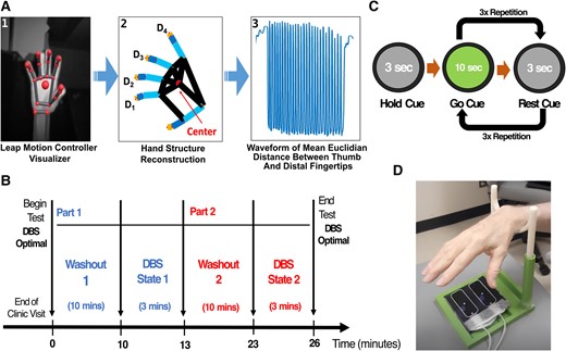 Study design for motor data collection. (A) Bradykinesia motor features processing flowchart: (1) hand visualization from LMC software user interface, (2) hand coordinate extraction (D1–D4) after LMC recording, (3) the time-variant waveform of hand movement during tasks. (B and C) Experimental design including wash-in/wash-out periods and randomization of the DBS-ON and DBS-OFF conditions. Before each state, the study participant underwent a 10-min wash-in/wash-out period to remove residual DBS stimulation effects from the preceding state. (D) Study apparatus with optical motion sensor and hand rest.