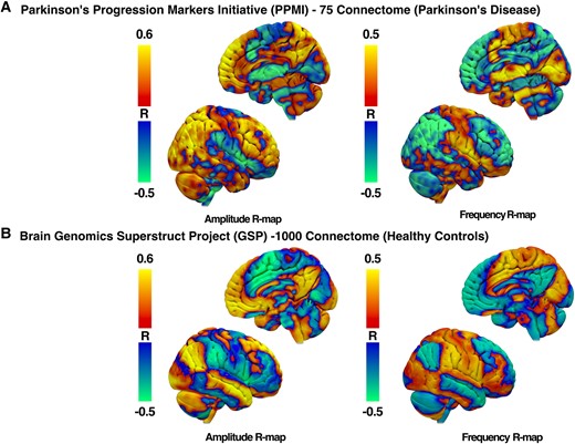 R-maps of amplitude and frequency changes after DBS. R-maps were produced from normative functional MRI connectomes from patients with Parkinson’s disease (A) and healthy adult controls (B). Red–yellow regions represent areas with a positive correlation with changes in FC with the STN-DBS volume of tissue activation and individual motor feature changes. Blue–green regions represent areas with a negative correlation.