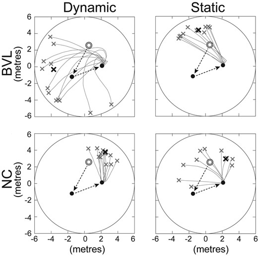 Sample trials on the dynamic and static conditions. Data from one BVL and one NC subject; the open circles are the start (home) positions, and the dashed black arrows show the first two visually guided legs of the TCT. The solid lines show the different ‘return-to-home’ trials with the bold X showing the mean end position. x- and y-axes are in units that are equivalent to metres (m), based on the size of the virtual image (Fig. 1A).