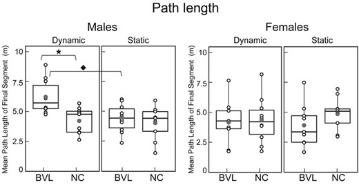 Mean ‘path length’ of final ‘return-to-home’ segment. Box plots for the static and dynamic tasks in NC and BVL men and women, organized like Figs 3 and 4 with the same icons. BVL/male/dynamic versus BVL/male/static, Wilcoxon signed-rank test, V = 55, P = 0.01; BVL/male/dynamic versus NC/male/dynamic, Mann–Whitney U-test, U = 77, P = 0.02. Population size: BVL/male = 10; BVL/female = 9; NC/male = 9; NC/female = 10.