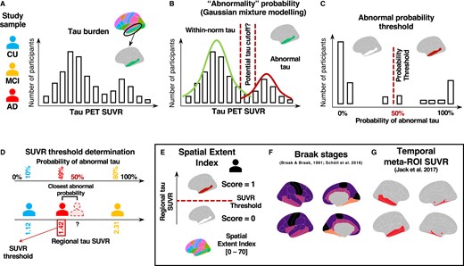 Spatial extent methodology. For each cortical region of the Desikan atlas and the bilateral amygdalae, we extract the SUVR of our participants (A). Then, a two-component Gaussian mixture modelling technique is applied to the SUVR values in each region (B and C). The second distribution is considered to reflect abnormally high SUVR tau values. We extract the probability that each participant belongs to the ‘abnormal’ distribution and establish a threshold that individuals with over 50% probability are considered positive for the given region (D). Once thresholds are derived across all regions, we derive the spatial extent index for each participant by summing the number of positive regions across the brain (E). We also apply the same methodology to the average SUVR within each aggregate composing Braak stages I and III through VI (F). To compare our spatial extent index in the cognition analyses, we also compute the average SUVR in a classic temporal meta-ROI. (G). Figure adapted from sihnpy’s documentation (https://sihnpy.readthedocs.io/), available with a CC-BY licence.