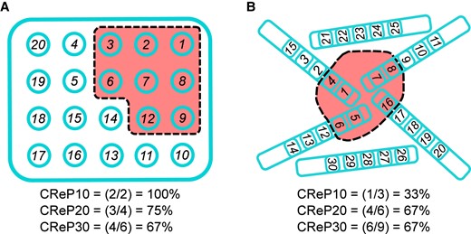 Critical resection participation calculation examples. (A) Given a grid layout of 20 electrodes (teal circles) in which eight electrode positions will be resected (red region), we first rank each electrode based upon importance (e.g. highest HFO rate or highest centrality). The ranks are shown as numbers on each electrode. We then determine how many of the top N% (e.g. 10%, 20%, 30%) of those ranks will be resected. The CReP10 results in two of the top 2 (10% of 20 electrodes = 2, so CReP10 is ‘what percent of the top 2 ranks is resected’). Since ranks 1 and 2 are both resected, CReP10 = 100%. For CReP20, it is out of four electrodes (20*20%), and since ranks 1, 2 and 3 are resected but not 4, the CReP20 is 3/4 = 75%. CReP30 is four of the top six (20*30%). (B) A similar example with depth electrodes. CReP10 results in one of the top three (30*10%) ranked electrodes being resected, CReP20 with four of the top six (30*20%) electrodes being resected, and CReP30 with six of the top nine (30*30%) electrodes being resected.