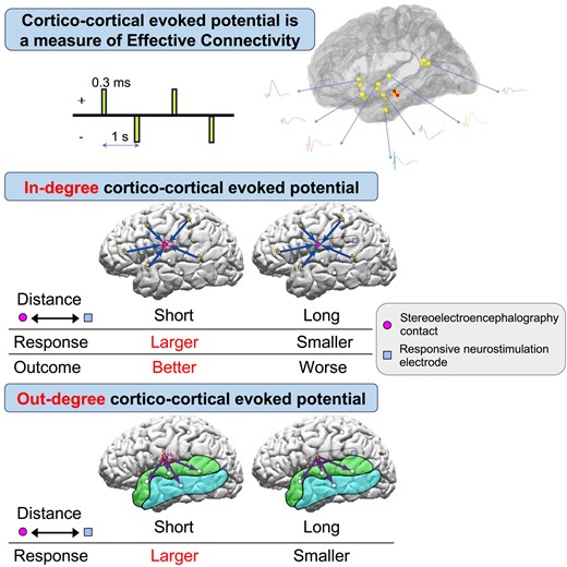 Graphical Abstract