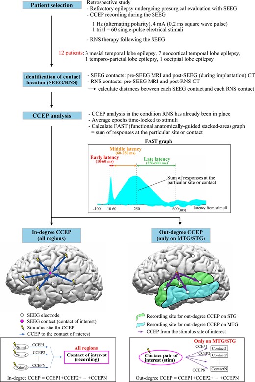 Flowchart of whole steps of recording and analyses. The functional anatomically-guided stacked-area (FAST) graph displays the sum of the responses at the particular area or SEEG contact to visualize and investigate ‘in-degree’ and ‘out-degree’ CCEPs. The ‘in-degree’ CCEPs indicate the sum of the potentials on the region of interest evoked by stimulating any pairs of SEEG contacts, namely, the degree of the input to the recording site. The ‘out-degree’ CCEPs indicate the sum of potentials from the region of interest, namely, the degree of output from the stimulus site. In this study, for the standardization of the CCEPs across patients, we focused on the ‘out-degree’ CCEPs from each stimulus site on only middle temporal gyrus (MTG) and superior temporal gyrus (STG), which were the only two common anatomical locations across the 12 patients. CCEPs, cortico-cortical evoked potential; SEEG, stereoelectroencephalography; RNS, responsive neurostimulation; FAST graph, functional anatomically-guided stacked-area graph; MTG, middle temporal gyrus; STG, superior temporal gyrus.