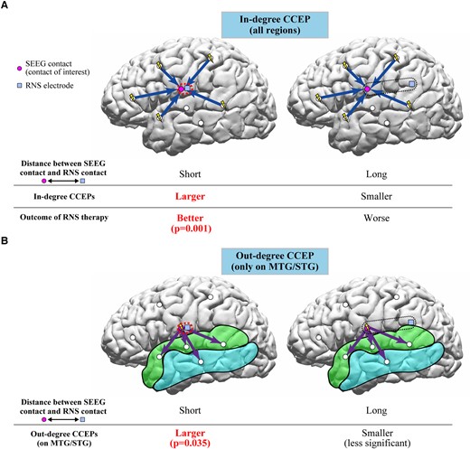 Schema of interpretations of in-degree and out-degree CCEPs in relation to RNS therapy. (A) The in-degree CCEPs recorded from contacts close to the RNS contact (G1) were larger than those recorded from the contacts relatively far from the RNS contact (G4) in six patients for early latency period. The ratio of amplitudes of early latency period in G1/G4 significantly correlated with the outcome of RNS therapy, suggesting that the recording sites involved in the network for the epileptic activities would be important for the RNS therapy. (B) The out-degree CCEPs by stimulating the sites with distances of 0–5 mm to the closest RNS contacts (G1) presented more significant early latency period than those with distances more than 10 mm (G3-4), implying that the CCEPs by stimulating the sites close to the RNS contacts reflect the cortical excitability at the site of stimulation and/or epileptic networks considering the pathological meanings of the early latency period of CCEPs.