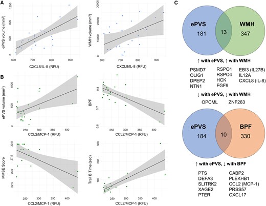 Protein expression is associated with characteristic findings in CADASIL patients. (A) Linear models with CXCL8/IL-8 as predictor and ePVS and WMH volume as outcomes. (B) Linear models with CCL2/MCP-1 as predictor and ePVS volume, BPF, MMSE score and TRAILB completion time as outcomes. (C) Overlap of proteins associated with specific neuropathological findings. Note that there was no protein associated with all three measures simultaneously. See Supplementary Table 3 for protein abbreviation list. BPF, brain parenchymal fraction; CCL2/MCP-1, C-C motif chemokine ligand 2/monocyte chemoattractant protein 1; CDRBox, Clinical Dementia Rating Sum-of-Boxes; CXCL8/IL-8, CXC motif chemokine ligand 8/interleukin-8; MMSE, Mini-Mental State Examination; Rey10 m, Rey–Osterrieth Complex Figure Test delayed recall at 10 min; RFU, relative fluorescent unit; TRAILB, Trail B Test completion time; WMH, white matter hyperintensity.