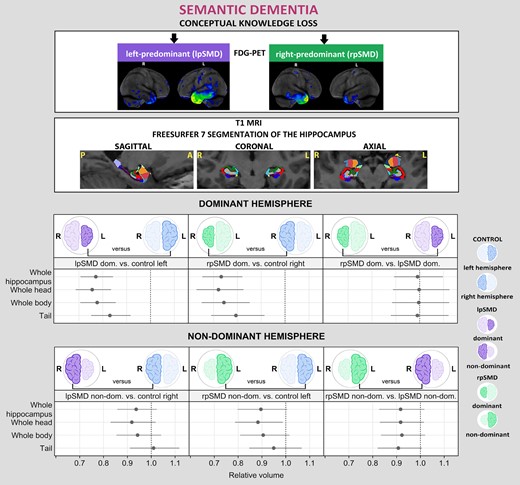 Graphical Abstract