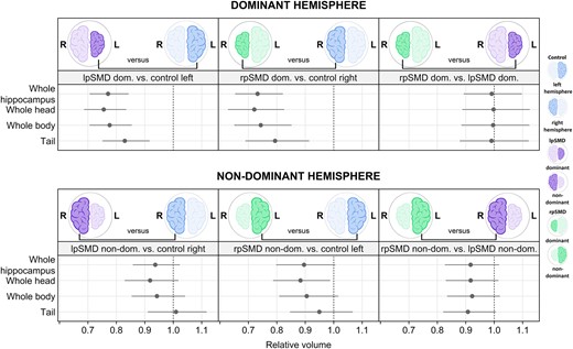 Graphical summary of whole hippocampal and subregion models. The forest plots show estimated decreases/increases in relative volume of the whole hippocampus and the subregions (whole head, whole body, and tail). Comparisons using the dominant hemispheres are shown in the top row, those using the non-dominant hemispheres are in the bottom row. The dots represent point estimates, and the lines represent 95% confidence intervals. Confidence intervals not crossing the line of null effect (vertical dotted line) are considered significant. Estimates are from Bayesian linear mixed-effects models and represent the posterior median, posterior 2.5th percentile and posterior 97.5th percentile. For easier interpretation, brain cartoons are shown in blue to represent controls, purple to represent lpSMD, and green to represent rpSMD. The smaller hemispheres represent the dominant side, whilst the bigger hemisphere represents the non-dominant side. dom, dominant; L, left; lpSMD, left-predominant semantic dementia; non-dom, non-dominant; R, right; rpSMD, right-predominant semantic dementia.
