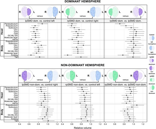 Graphical summary of the subfield model. The forest plots show estimated decreases/increases in relative volume of the subfields. Comparisons using the dominant hemispheres are shown in the top row, those using the non-dominant hemispheres are in the bottom row. The dots represent point estimates, and the lines represent 95% confidence intervals. Confidence intervals not crossing the line of null effect (vertical dotted line) are considered significant. Estimates are from Bayesian linear mixed-effects models and represent the posterior median, posterior 2.5th percentile and posterior 97.5th percentile. For easier interpretation, brain cartoons are shown in blue to represent controls, purple to represent lpSMD, and green to represent rpSMD. The smaller hemispheres represent the dominant side, whilst the bigger hemisphere represents the non-dominant side. CA, cornu ammonis; dom, dominant; GC-ML-DG, dentate gyrus; HATA, hippocampal–amygdaloid transition area; L, left; lpSMD, left-predominant semantic dementia; non-dom, non-dominant; R, right; rpSMD, right-predominant semantic dementia.