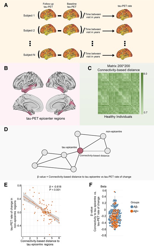 Assessment of tau-PET epicentres and connectivity-based accumulation of tau aggregates. (A) Assessment of tau-PET rate of change. Tau-PET rate of change was measured as the ROI-wise difference in baseline and follow-up tau-PET divided by the time interval between visits in years. (B) Representation of tau epicentres on glass brain in Aβ-positive participants. (C) A 200 × 200 matrix of interregional FC-based distance based on 69 CN subjects from the ADNI data set. The subject-specific connectivity matrices measured by Fisher-Z transformation on ROI-specific preprocessed fMRI time series were then averaged across individuals and subjected to a thresholding process, where only the strongest 30% of connections were retained. Finally, the matrices were transformed to connectivity-based distance, with shorter distances indicating higher levels of connectivity. (D) Hypothetical tau spreading through functional connections. In the model, tau aggregates spread from epicentres (regions with the highest level of tau aggregates in each subject) to non-epicentre regions through functional networks. The β-value from the correlation analysis between the rate of change in tau-PET and the connectivity-based distance to epicentres in each subject represents the tau spreading through interconnected regions. (E) The group-level analysis of the correlation between connectivity-based distance to the tau epicentres, as visualized on the glass brain in B, and the tau-PET rate of change across the entire brain in Aβ-positive participants (linear regression, n = 94). Each dot represents a distinct brain region. The results reveal that there is a higher rate of tau accumulation in regions that are functionally closer to the tau epicentres. (F) The individual level of the same analysis (A and B) is represented (linear regression, n = 211). The β-value from the correlation analysis between the rate of change in tau-PET and the connectivity-based distance to epicentres across all brain regions in each individual is displayed in the box plot (average: −0.208). Based on these results, tau spread across functional connections. A more negative β-value means a greater tau accumulation rate in the regions that are functionally closer to the tau epicentres. All linear regressions performed were two sided, without adjustment for multiple comparisons, and error bands correspond to the 95% confidence interval. The linear models adjusted for the effect of age, sex, education and APOE ε4 allele. Aβ, amyloid-beta.