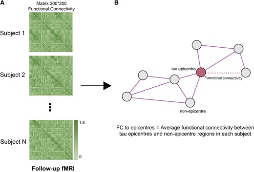 FC to epicentres. (A) A 200 × 200 matrix of interregional FC for each participant was measured using follow-up fMRI data (imaging data of baseline visits were excluded). (B) For each subject, the average FC of non-epicentre regions to tau-PET epicentre regions was measured (FC to epicentres). FC to epicentres can directly represent the FC of interregional connections that are pathways for the hypothetical tau spreading model (epicentre to non-epicentre regions). fMRI, functional MRI; FC, functional connectivity.