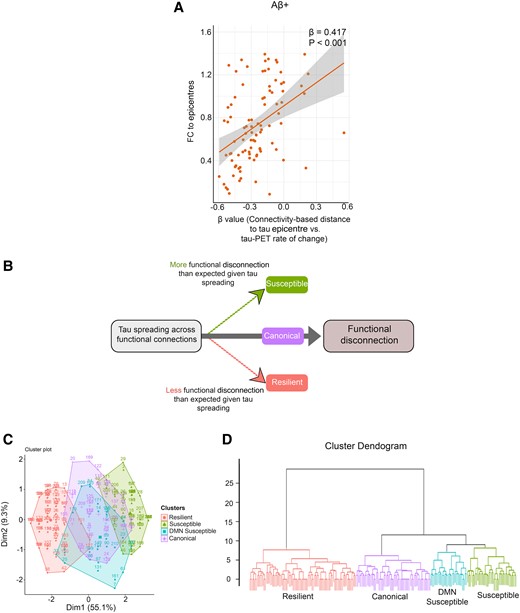 Association between tau spreading and FC. (A) Scatter plot of the associations between FC to epicentres and the β-values of epicentre connectivity to tau-PET rate of change in Aβ-positive participants (linear regression, n = 94). Each dot represents an individual. (B) Schematic of the proposed relationship between tau spreading and functional disconnection (FC between tau-PET epicentre and non-epicentre regions). Subjects with more functional disconnection given tau spreading considered susceptible. Also, subjects with lower functional disconnection given tau spreading considered resilient. (C) Consistent clustering by tau spreading and functional disconnection relationship of seven brain networks (visual, somatomotor, dorsal attention, ventral attention, limbic, FPN and DMN) and patient residuals is visually depicted by (C) PCA and (D) dendrogram. Aβ, amyloid-beta; fMRI, functional MRI; FC, functional connectivity.