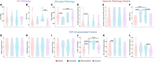 Exploratory analysis of Alzheimer’s disease CSF biomarkers, microglia, vascular and TDP-43 copathologies based on tau spreading and functional disconnection relationship in Aβ-positive participants. (A and B) Levels of CSF Aβ42 and p-tau are graphed (ANOVA, n = 74). The levels of CSF Aβ42 were similar among the clustered groups (A). The DMN-susceptible group had a higher level of CSF p-tau compared to the canonical group. (C) Level of sTREM2 as an indicator of TREM2-related microglia activity graphed among the clustered groups (ANOVA, n = 59). The susceptible group had lower CSF sTREM2 compared to the resilient and canonical groups. (D–F) Subcortical infarcts, vascular risk factors and WMH volume were compared based on tau spreading and functional disconnection relationship (ANOVA, n = 42). Susceptible subjects had a higher number of subcortical infarcts compared to the resilient group (D). The volume of WMH was higher in the susceptible groups compared to the resilient and canonical groups (F). Categorical fluency, ADNI language and memory scores were similar between the clustered groups (G–I; ANOVA, n = 66). Both the susceptible groups had larger I/MTL/FSO 18F-FDG ratios compared to the resilient and canonical groups (J; ANOVA, n = 53). Susceptible subjects had worse MTL 18F-FDG asymmetry compared to the resilient group (K; ANOVA, n = 53). Also, DMN-susceptible subjects had worse MTL thickness asymmetry compared to the canonical group (L; ANOVA, n = 67). Box plots show mean as the middle box line, first quartile (Q1) and third quartiles (Q3) as box edges (denoting the IQR) and whiskers as the minimum–maximum points and outliers based on thresholds < Q1 − 1.5 (IQR) or >Q3 + 1.5 (IQR). P-values of significant differences in pairwise comparisons between the clustered groups by two-tailed likelihood ratio tests after covariate and multiple test (Bonferroni) adjustment are shown. Covariates include age, sex, education, Aβ-PET and APOE ε4 allele. sTREM2, soluble triggering receptor expressed on myeloid cell 2; WMH, white matter hyperintensity; Aβ, amyloid-beta; DMN, default mode network; MTL, medial temporal lobe; FSO, frontal supraorbital; ADNI, Alzheimer’s Disease Neuroimaging Initiative.