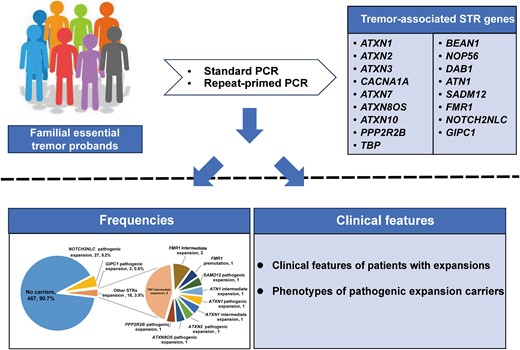 Graphical Abstract