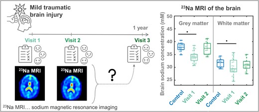 Graphical Abstract
