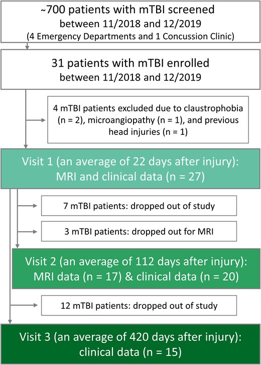 Flow diagram of study design, enrolment and drop-out rates. Patient recruitment took place from four metropolitan emergency departments and a concussion clinic. Eligible and willing patients underwent clinical outcome assessments at visits 1, 2 and 3; and MRI scanning at visits 1 and 2.