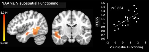 Significant relationships between NAA and visuospatial functioning. Brain images are shown in neurological convention (left = left). Colour bars indicate t-values from multiple regressions. r-values represent effect sizes (Pearson’s coefficients) for relationships between mean cluster signal and cognitive scores. The x-axis shows visuospatial domain Z-score.
