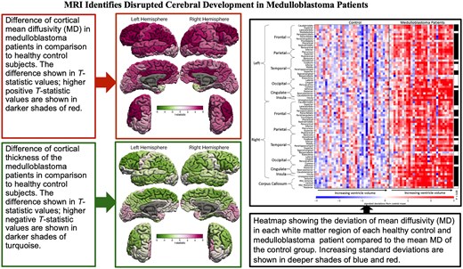 graphical abstract