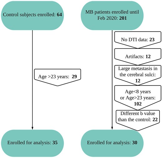 Participant enrolment flowchart. Flowchart shows participant enrolment in the study.