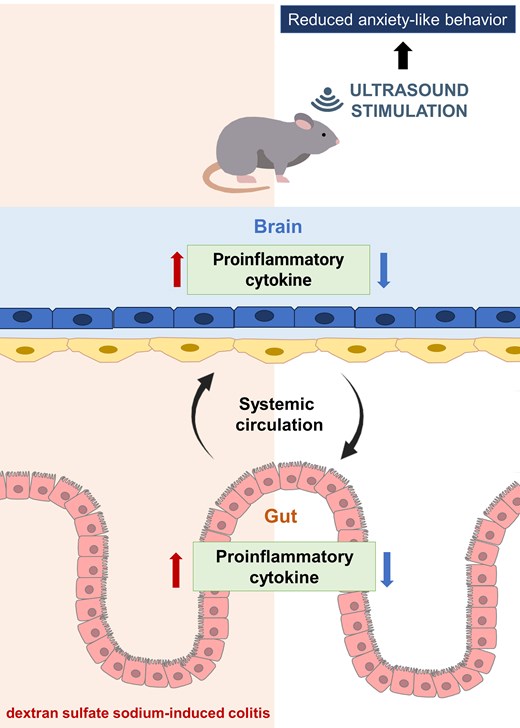 Graphical Abstract