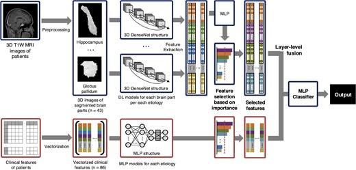 The schematic diagram of the overall training process for multimodal deep learning. DL, deep learning; MLP, multilayer perceptron; DenseNet, densely connected convolutional networks.