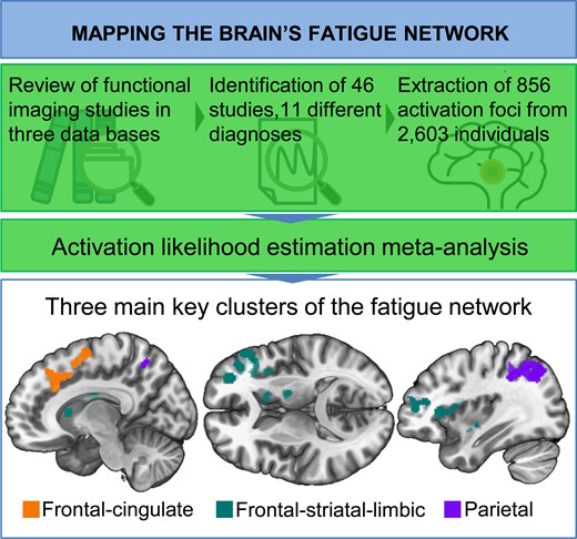 Graphical Abstract Graphical Abstract
