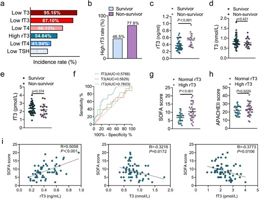 rT3 as a potent indicator of organ function. (a) the incidence rate of low T3, T4, fT3, fT4, and TSH levels, as well as high rT3 level (the reference values for defining high or low TH-axis parameters are provided by the clinical laboratory at Nanjing drum tower; n = 62). (b) Incidence rate of high rT3 level in survivors (n = 43) and non-survivors (n = 19). (c) rT3 levels in the same setting as in (b). (d) T3 levels in the same setting as in (b). (e) fT3 levels in the same setting as in (b). (f) Mortality risk ROC curve and AUC score with T3, fT3, and rT3 parameters (n = 62). (g) SOFA scores of patients in the normal rT3 group (n = 28) and the high rT3 group (n = 34). (h) APACHE II scores of patients in the normal rT3 group (n = 28) and the high rT3 group (n = 34). (i) Correlation analysis among rT3, T3, fT3, and SOFA scores (n = 62). *P < 0.05. Mann–Whitney test for (c, d), two-tailed Student’s unpaired t-test for (e, g, and h), ROC curve analysis for (f), or Spearman’s rank correlation analysis for (i). Quantitative data are represented as mean ± SD. NS not significant, T3 triiodothyronine, T4 thyroxine, SOFA sequential organ failure assessment, APPACHE II acute physiology and chronic health evaluation
