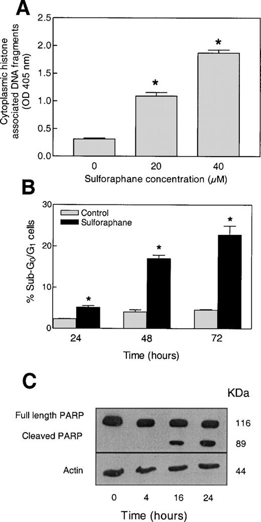  Effect of SFN treatment on apoptosis induction determined by ( A ) quantification of cytoplasmic histone associated DNA fragments following a 24 h exposure to DMSO (control) or SFN (20 or 40 µM), ( B ) flow cytometric analysis of cells with sub-G 0 /G 1 DNA content following a 24, 48 or 72 h treatment with DMSO (control) or 20 µM SFN, and ( C ) western blot analysis for PARP cleavage using lysates from PC-3 cells exposed to 20 µM SFN for different time intervals (each lane in panel C contained 40 µg of lysate protein). Experiments for data in (A), (B) and (C) were repeated two times, and the results were comparable. Data from a representative experiment are shown, and mean ± SE of three determinations (A and B). * Significantly different compared with control ( P < 0.05) by Student's t -test. 