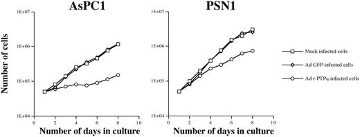 In vitro growth curve of AsPC1 and PSN1 pancreatic cancer cell lines. Cell number was determined by counting the cells after Trypan blue exclusion at 24-h intervals. Cells were transduced with either Ad GFP or Ad r-PTPη at MOI 50. 