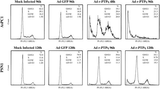  Flow cytometry of AsPC1 and PSN1 pancreatic malignant cells infected with Ad r-PTPη . Flow cytometry analysis of AsPC1 48 and 72 h (top row) and PSN1 96 and 120 h after infection with Ad r-PTPη (bottom row). Both cell lines were transduced at MOI 50. Two other experiments performed in parallel gave the same results. The percentages of cell cycle distribution and apoptotic cells (i.e. cells sub-G 1 DNA content) are shown on each histogram. 