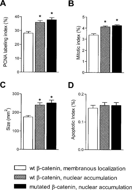  Effect of β-catenin activation on tumor growth in c-myc /TGF-α HCCs promoted by PB. ( A ) PCNA labeling index; ( B ) mitotic index; ( C ) tumor size; ( D ) apoptotic index. Each bar represents mean ± SE ( n = 5–7). *P < 0.002 when compared with HCCs with wild-type β-catenin. 