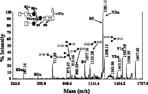  MALDI/PSD spectrum of the m / z 1647.2 ion recorded from Erb-hcAb glycoforms. The Y and B ion series are indicated. Fragmentation events are reported on the glycosidic structure. 