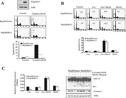  Curcumin plus TRAIL induces apoptotic cell death in Bcl-2 overexpressing cells. ( A ) Antiapoptotic effect of Bcl-2 on cisplatin-induced apoptosis. Analysis of Bcl-2 expression in the stably transfected cell lines. Western blotting using an anti-Flag antibody was performed to detect Flag-tagged Bcl-2 in the selected cell lines. Hep 3B/Vector and Hep 3B/Bcl-2 cells were treated with or without 50 μM cisplatin, and apoptosis was analyzed as a sub-G1 fraction by FACS. Data are mean values obtained from three independent experiments and bars represent standard deviations. ( B ) Hep 3B/Vector and Hep 3B/Bcl-2 cells were treated for 24 h with curcumin alone (30 μM), TRAIL alone (100 ng/ml), and combination of curcumin and TRAIL. Apoptosis was analyzed as a sub-G1 fraction by FACS. ( C ) Equal amounts of cell lysates (40 μg) were subjected to electrophoresis and analyzed by western blot for caspase-3 and PLC-γ1. The proteolytic cleavage of PLC-γ1 is indicated by an arrow. DEVDase activity was determined as described in Figure 1C . Data shown are means ± SD ( n = 3). 