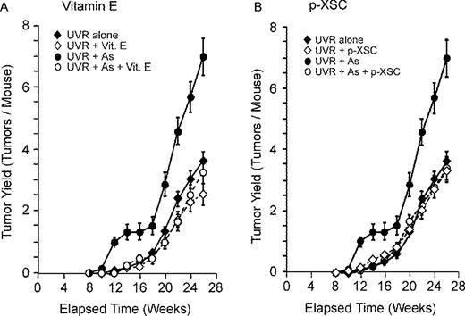  Effect of vitamin E or p -XSC on UVR and UVR + arsenite tumorigenesis. Hairless mice exposed to UVR or UVR + arsenite (see Materials and methods) and were fed diets with or without 62.5 IU/kg RRR-α-tocopheryl acetate ( A ) or 10 mg/kg p -XSC ( B ). Tumors were scored at each time period and number of tumors per mouse was calculated. Error bars are standard deviations from the mean. 