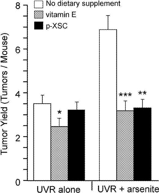  Final tumor yield after 26 weeks of UVR exposure. Both vitamin E and organoselenium ( p -XSC) significantly inhibited the arsenite-enhanced UVR-induced tumors. Vitamin E, but not p -XSC, also decreased tumors in mice treated with UVR alone. Error bars are standard deviations from the mean. *P < 0.05 for UVR + vitamin E vs UVR alone, ***P < 0.001 for UVR + arsenite + vitamin E versus UVR + arsenite and **P < 0.002 for UVR + arsenite + p -XSC versus. UVR + arsenite. In each of the six groups 95% of the tumors were SCC with variable degrees of invasiveness and differentiation. 