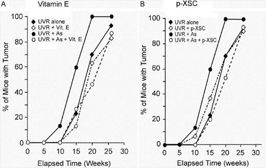  Effect of vitamin E ( A ) or p -XSC ( B ) on tumor incidence. Mice were exposed to UVR alone (30 mice) or UVR + arsenite (15 mice) with or without chemopreventives, as described in Materials and methods. Tumor of diameter ≥1 mm and persisting at least 2 weeks after appearance was recorded for each animal separately, and percentage of mice with tumor was calculated in each week. 
