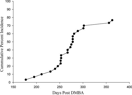 Cumulative incidence of ovarian tumors from the date of suture implantation to the time of palpation or discovery at termination of the experiment. DMBA-coated suture was implanted at 7 weeks of age.