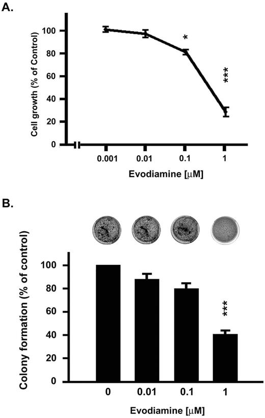  Evodiamine inhibited the growth of NCI/ADR-RES cells. ( A ) Effects on proliferation. Cells were incubated with evodiamine for 48 h, and incubations were terminated by the addition of TCA. SRB dye (0.4% w/v in 1% acetic acid) was added to stain the cells. Bound dye was subsequently solubilized with 10 mM Trizma base, and absorbance of the solution at 515 nm was determined. ( B ) Effects on colony formation. Cells were suspended in 0.36% bactoagar and seeded into 24-well plates over a 0.6% agar base layer in RPMI medium containing 10% FBS. After 2 weeks, colonies were stained overnight with 0.5 mg/ml MTT in PBS and counted. Results were expressed as mean ± SEM of four independent experiments. *P < 0.05, ***P < 0.001 compared with control group. 