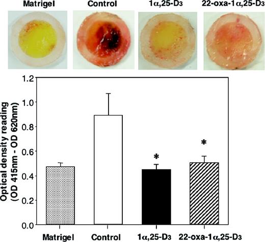  Effects of 1α,25-D 3 and 22-oxa-1α,25-D 3 on bFGF-induced angiogenesis in the in vitro chamber angiogenesis assay. At the time of the implantation of the chamber ring to store the Matrigel-containing bFGF, a osmotic minipump with 1α,25-D 3 or 22-oxa-1α,25-D 3 , was implanted on the other side of the chamber ring in the mice. Ten days after implantation, the mice were killed and the chambers were removed from the fascia. The angiogenic factor bFGF induced angiogenesis on day 10 post-implantation as determined from OD readings at 415 nm. Each bar represents the mean ± SE. *P < 0.05 versus vehicle-treated group ( n = 10). 