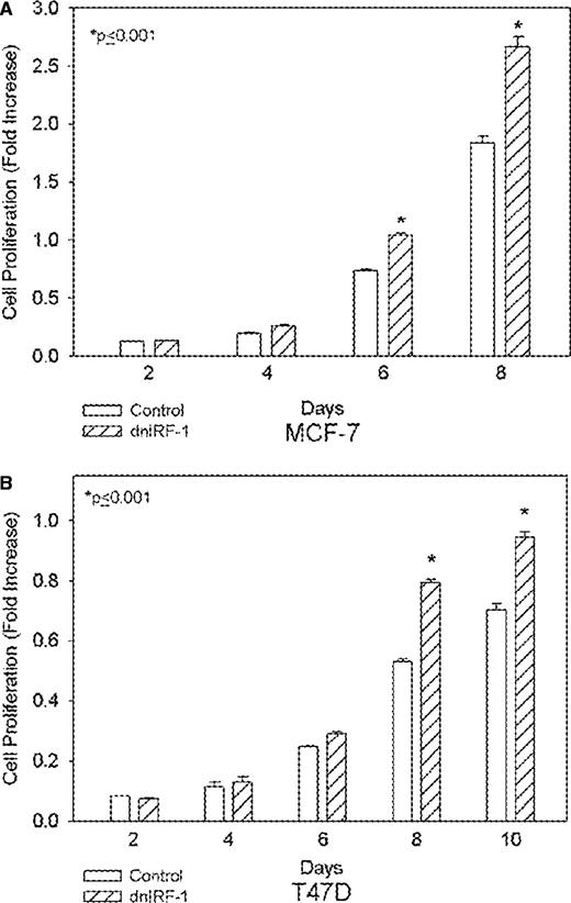  dnIRF-1 enhances the growth of MCF-7 and T47D cells. ( A ) MCF-7 cells stably transfected with the dnIRF-1 or empty vector control were assessed for growth at various time points by crystal violet growth assays. ( B ) Growth rates of T47D cells stably transfected with dnIRF-1 or empty vector control were determined at various time points by crystal violet growth assays. Data are expressed as spectrophotometric absorbance at 570 nm and represent mean ± SE of three independent determinations; P ≤ 0.001 (Student's t -test). 