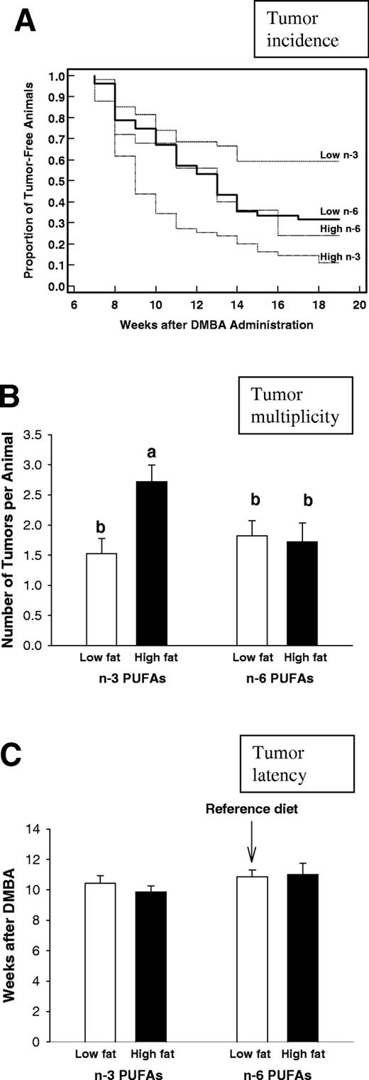  Mammary tumorigenesis in rats exposed to low- or high-fat n -3 or n -6 PUFA diets from post-natal day 5 until day 25. A dose of 10 mg DMBA was administered on day 50 and mammary tumors were monitored weekly by palpation for 18 weeks. ( A ) Mammary tumor incidence was significantly reduced in the prepubertally low-fat n -3 PUFA fed rats ( P < 0.03) and increased in the high-fat n -3 PUFA fed rats ( P < 0.0008), when compared with the reference group (Kaplan–Meier survival analysis and log rank test). ( B ) Tumor multiplicity, measured as the number of tumors per animal at the time of killing, was significantly lower in the low-fat n -3 PUFA fed rats than in the high-fat n -3 PUFA fed rats (one-way ANOVA, P = 0.007; bars markerd with different letters are significantly different from each other at the level P < 0.05 by using a Tukey test). ( C ) Tumor latency, measured as the number of weeks after DMBA administration until the appearance of the first tumor, was not different among the groups. The mean + SEM of all tumors included to the analysis per dietary treatment are shown. The numbers of animals per group were: low-fat n -6 PUFA group: n = 52; high-fat n -6 PUFA group: n = 25; low-fat n -3 PUFA group: n = 55; and high-fat n -3 PUFA group: n = 52. 