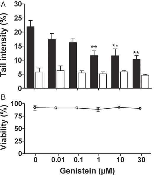  Effects of genistein preincubation on the rate of H 2 O 2 -mediated DNA damage, as determined by the comet assay. LAPC-4 cells were incubated with 0.01–30 μM genistein or the vehicle control 0.1% DMSO for 24 h, trypsinized, washed and subsequently treated for 5 min with either 19 μM H 2 O 2 (black columns) or the respective solvent control PBS (white columns). ( A ) Genistein lowered the rate of H 2 O 2 -mediated DNA damage at 1–30 μM, while it did not affect the rate of DNA damage in unchallenged control cells. Values are means ± SEM of percentage fluorescence in the comet tail (tail intensity). ( B ) Genistein also had no effect on cell viability, as determined by trypan blue exclusion test. *P < 0.05, **P < 0.01 compared to vehicle control (one-way ANOVA, Dunnett's post-test, n = 3). 
