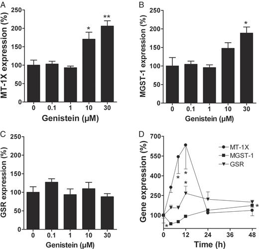  Gene expression analyses of MT-1X, MGST-1 and GSR after genistein incubation, as determined by Taqman real-time PCR. For figures A–C, LAPC-4 cells were incubated with 0.01–30 μM genistein or the vehicle control 0.1% DMSO for 24 h. For figure D, LAPC-4 cells were incubated with 30 μM genistein for 4–48 h, whereas control cells were incubated with 0.1% DMSO (genistein vehicle) for 48 h. ( A ) Genistein at 10 and 30 μM increased MT-1X gene expression by 1.7- and 2.1-fold, respectively. ( B ) Expression of MGST-1 was 1.9-fold induced at 30 μM genistein. ( C ) Expression of GSR , in contrast, was unaffected. ( D ) Expression of MGST-1 had a minimum (2.9-fold depletion) after 4 h but subsequently increased to yield a 1.7-fold induction after 48 h. Expression of MT-1X was induced after 8 h (5.4-fold) and 12 h (6.3-fold). Thereafter, expression declined rapidly to reach control level after 24 h. Expression of GSR had a maximum after 12 h. This expression level, however, declined only slowly. Values are means ± SEM of relative gene expression based on DMSO control (100%). *P < 0.05, **P < 0.01 compared to vehicle control (one-way ANOVA, Dunnett's post-test, n = 3). 