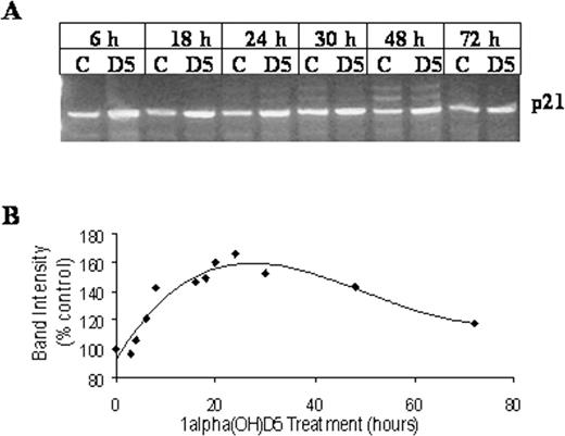  Effect of 1α(OH)D5 treatment on transcription of CDK inhibitor p21 Waf-1 in BT-474 cells. BT-474 cells were treated with 1 μM 1α(OH)D5 or control for various time points. Total RNA was extracted and subjected to RT–PCR. ( A ), RT–PCR showing levels of p21 Waf-1 mRNA from control and 1α(OH)D5-treated (1 μM) cells for each time point, respectively. ( B ), Change in levels of p21 Waf-1 transcript with 1α(OH)D5 treatment, adjusted for control and β-actin. The results are expressed as percent expression relative to appropriate controls. The graph was generated using polynomial regression. 
