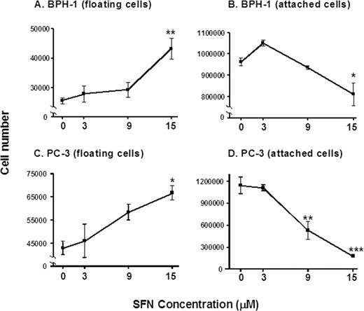  SFN increases the proportion of prostate cells in the floating population. BPH-1 ( A and B ) and PC-3 cells ( C and D ) were treated with 0, 3, 9, or 15 µM SFN and 48 h later the floating and attached cells were counted. Results are given as mean ± SD, n = 3. *P < 0.05, **P < 0.01, ***P < 0.001. 