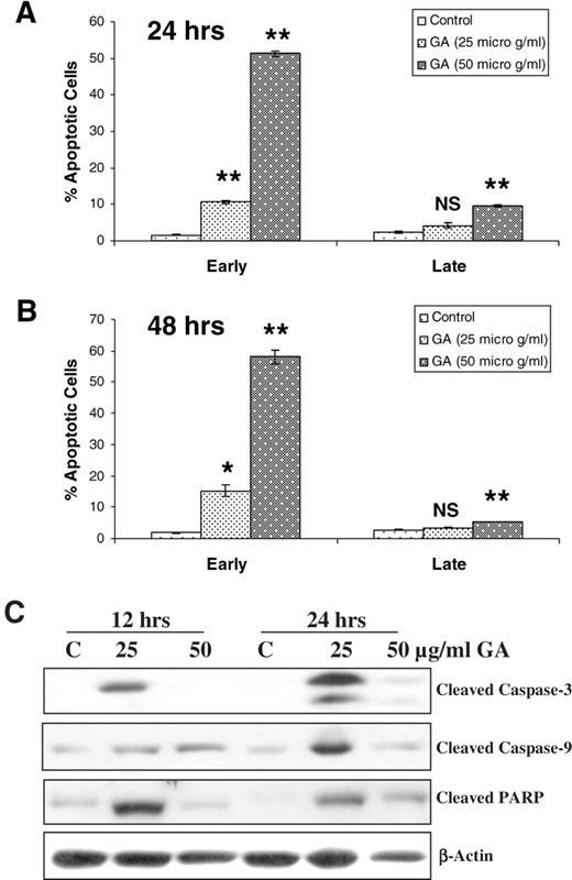  GA induces apoptotic death of DU145 cells and causes caspase-3, caspase-9 and PARP cleavages. Cells were cultured under standard conditions and treated with DMSO (control) or GA in DMSO at 25 and 50 μg/ml doses for 24 ( A ) or 48 ( B ) h. Cells were then collected and processed for annexin V–PI staining followed by FACS analysis as detailed in Materials and methods. Early apoptotic cells are those stained only for annexin V and the late apoptotic cells are those stained positive with both annexin V and PI. The data shown in each case are mean ± SE of two independent samples, and are representative of three independent experiments with comparable observations. * , P ≤ 0.05; ** , P ≤ 0.01; NS, not significant; versus DMSO control. For western analyses ( C ), following treatments with DMSO (control) or GA in DMSO at 25 or 50 μg/ml dose for indicated times, cells were collected and total lysates prepared and subjected to SDS–PAGE and immunoblotting. Membranes were probed with desired primary followed by appropriate secondary antibodies and bands developed by ECL, as detailed in Materials and methods. 