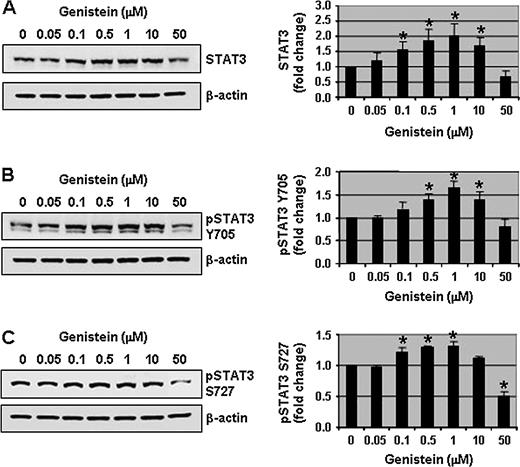  Physiological concentrations of genistein increase the phosphorylation of STAT3. Protein lysates (50 μg) from DU-145 cells treated with a range of genistein concentrations (0, 0.05, 0.1, 0.5, 1, 10 and 50 μM) for 3 days were resolved on 12% sodium dodecyl sulfate–polyacrylamide gel electrophoresis and immunoblots were probed with antibodies to total STAT3 ( A ), pSTAT3 Y705 ( B ) and pSTAT3 S727 ( C ). All immunoblots were reprobed with β-actin antibody to ensure equal loading. Representative photographs from an experiment that was repeated thrice. Quantitative analyses of relative levels of total and pSTAT3 (Y705 and S727) are shown on the right panels. Columns, mean; bars, standard error. * P < 0.01, significantly different from control. 